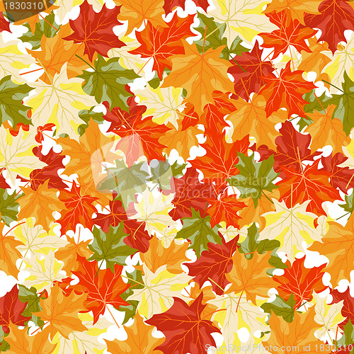Image of maples leaves seamless