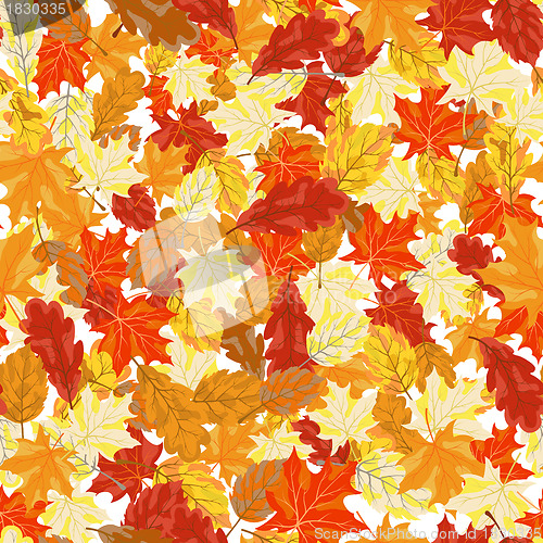 Image of maples leaves seamless