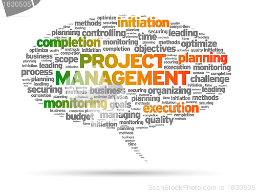 Image of Project Management