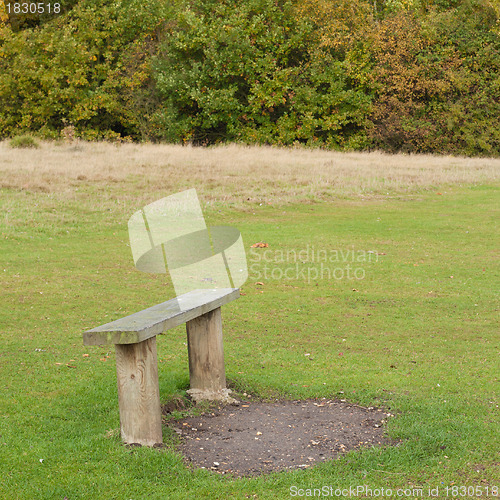 Image of Bench in the countryside in autumn