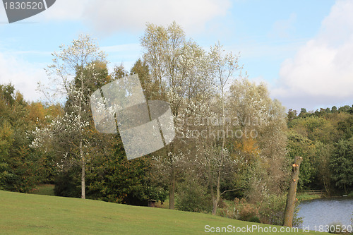 Image of Autumn Landscape