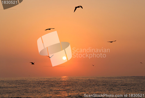 Image of Ocean sunset