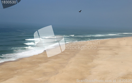 Image of Wild beach in Nazare, Portugal 