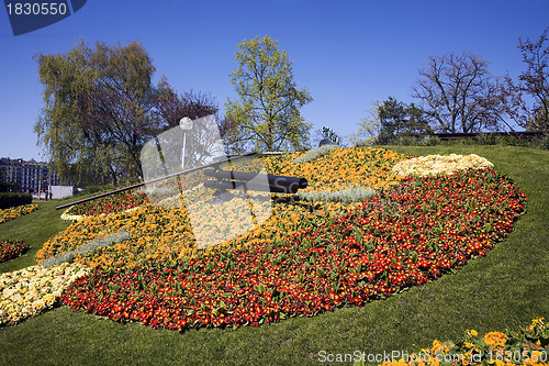 Image of Flower clock