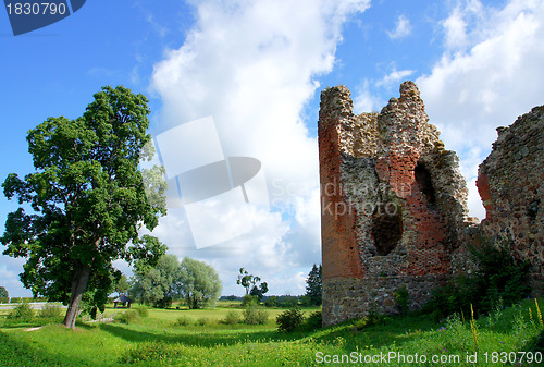 Image of Ruins and tree