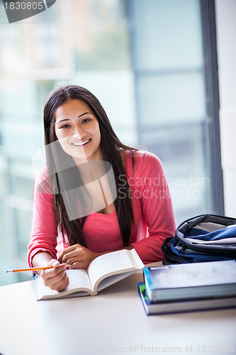 Image of Hispanic college student studying