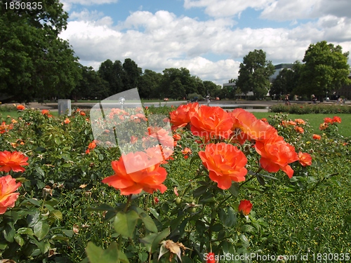 Image of Gardens in Stuttgart Germany