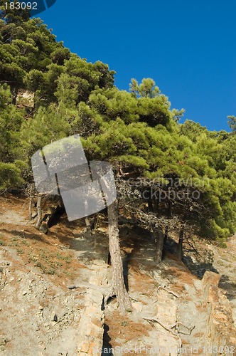 Image of Sea coast