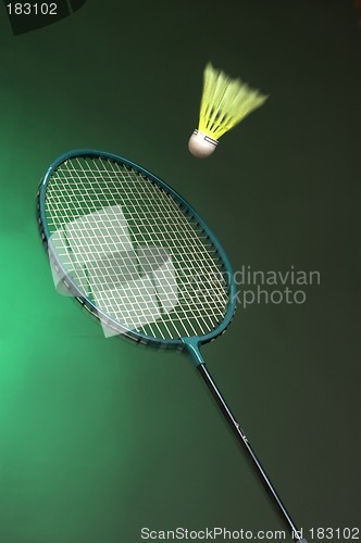 Image of badminton