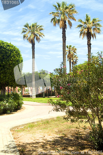 Image of gardens walkway in waterfront Oasis Park El Kantaoui Sousse Tuni