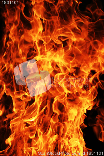 Image of Fire