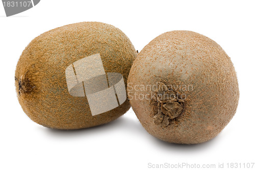 Image of Kiwi