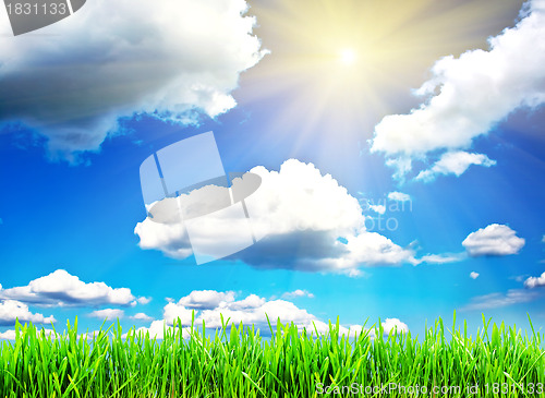 Image of Spring