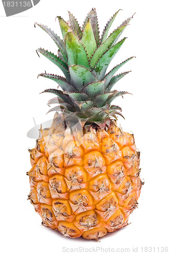 Image of Pineapple