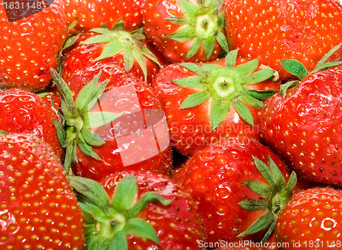 Image of Strawberry