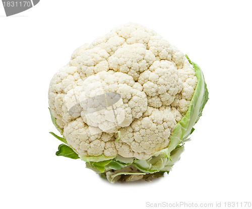 Image of Cauliflower
