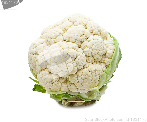 Image of Cauliflower