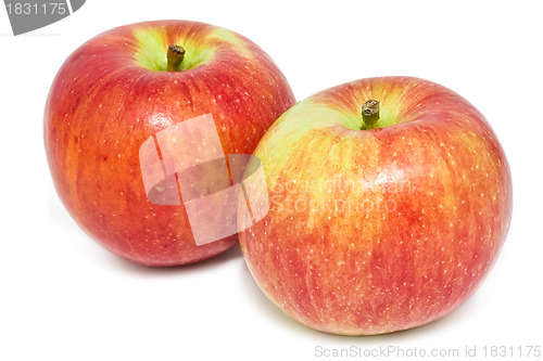 Image of Apples