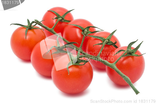 Image of Tomatoes