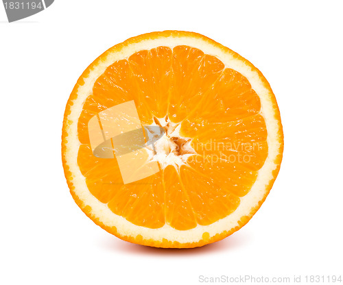 Image of Orange