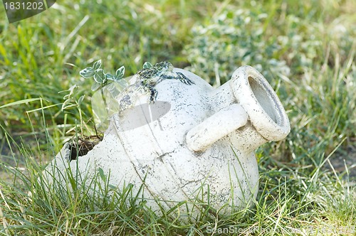 Image of Amphora with flowers