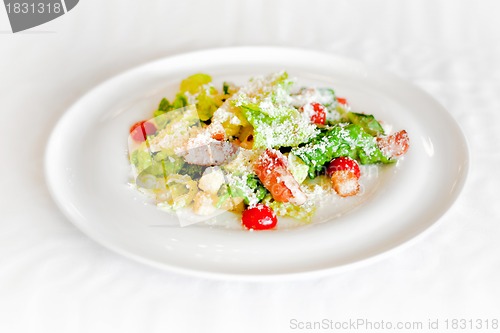 Image of summer salad with shrimps