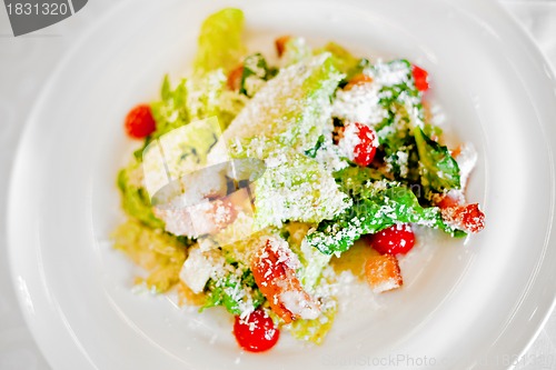 Image of summer salad with shrimps