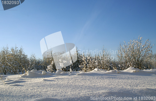 Image of Sparkling snow. Poster landscape
