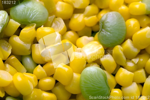 Image of succotash