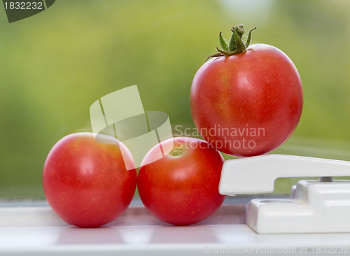 Image of Row of tomatoes on window sill