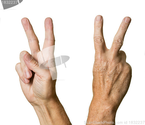 Image of Pair of senior caucasian hands