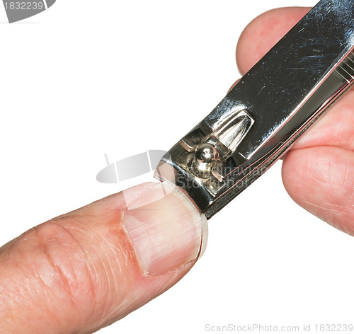 Image of Macro isolated cutting thumb nail