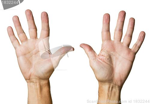 Image of Pair of senior caucasian hands