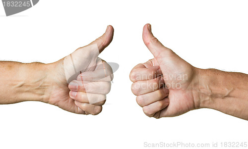 Image of Pair of senior caucasian hands