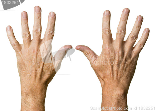 Image of Pair of senior caucasian hands