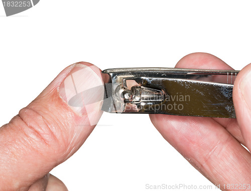 Image of Macro isolated cutting thumb nail