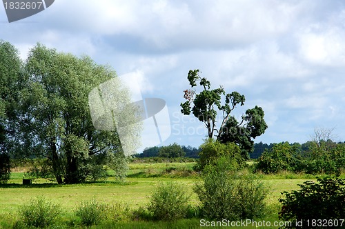 Image of Landscape