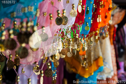 Image of Belly dance costume details