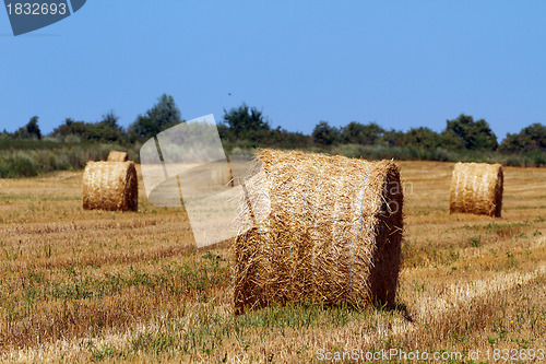 Image of Hay bales