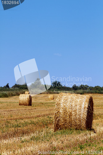 Image of Hay bales