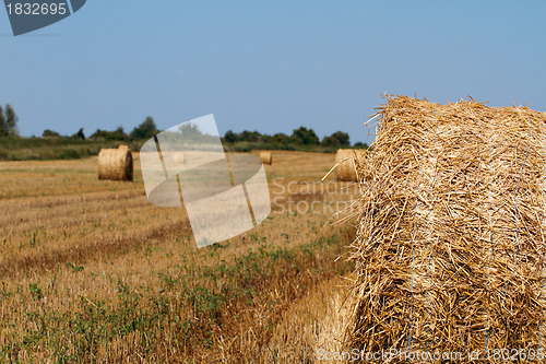 Image of Hay bales