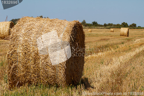 Image of Hay bales