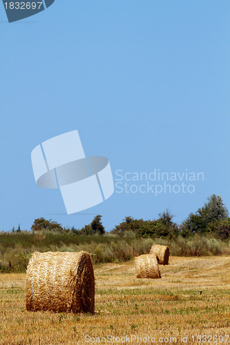 Image of Hay bales