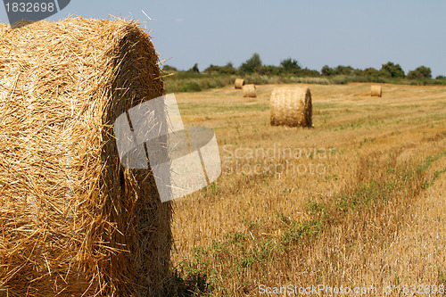 Image of Hay bales