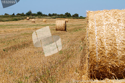 Image of Hay bales