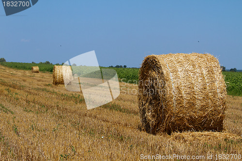 Image of Hay bales