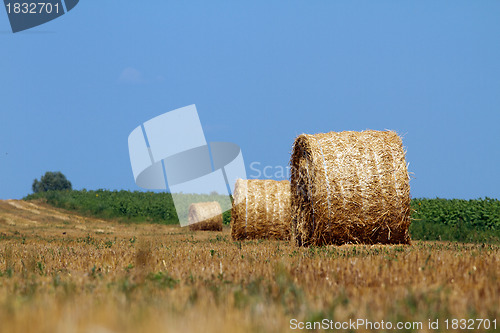 Image of Hay bales