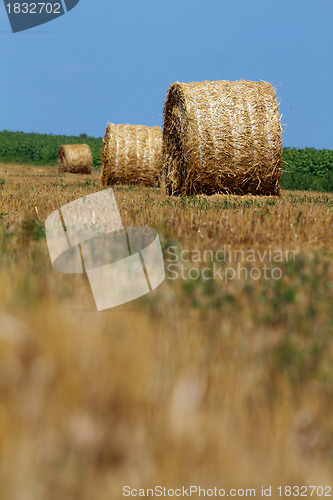 Image of Hay bales