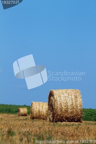 Image of Hay bales