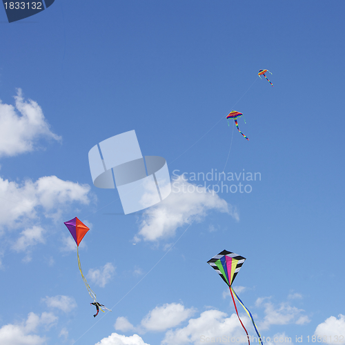 Image of Kites Flying together
